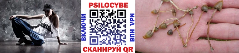 kraken вход  Переславль-Залесский  Псилоцибиновые грибы прущие грибы 