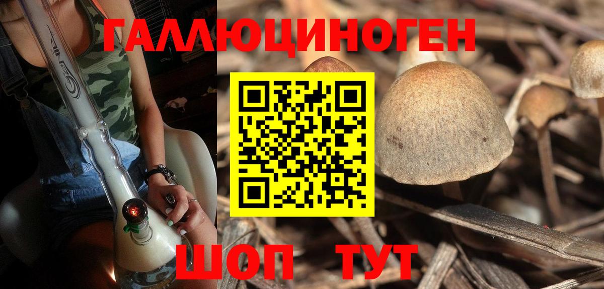 Переславль-Залесский  Галлюциногенные грибы мухоморы  Вход с VPN 