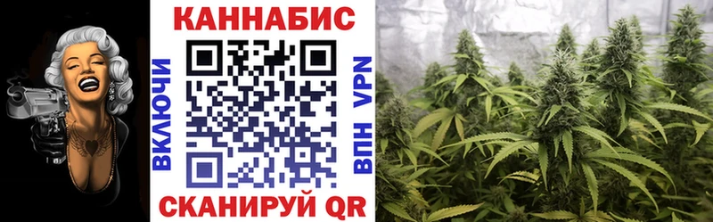 Бошки марихуана ГИДРОПОН мориарти телеграм Переславль-Залесский